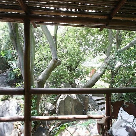 Little Forest Guest House Johannesbourg Extérieur photo