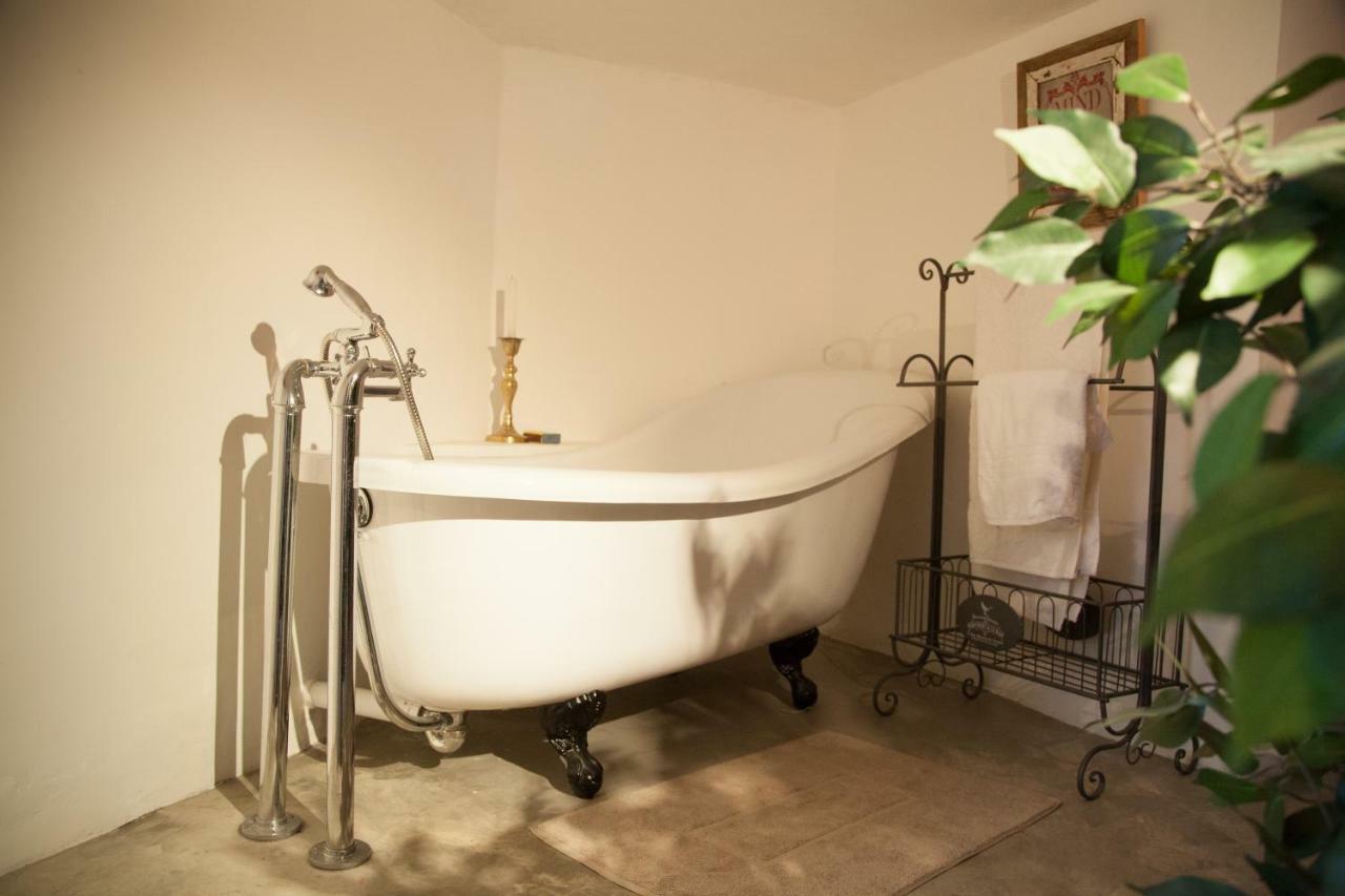 Little Forest Guest House Johannesbourg Extérieur photo